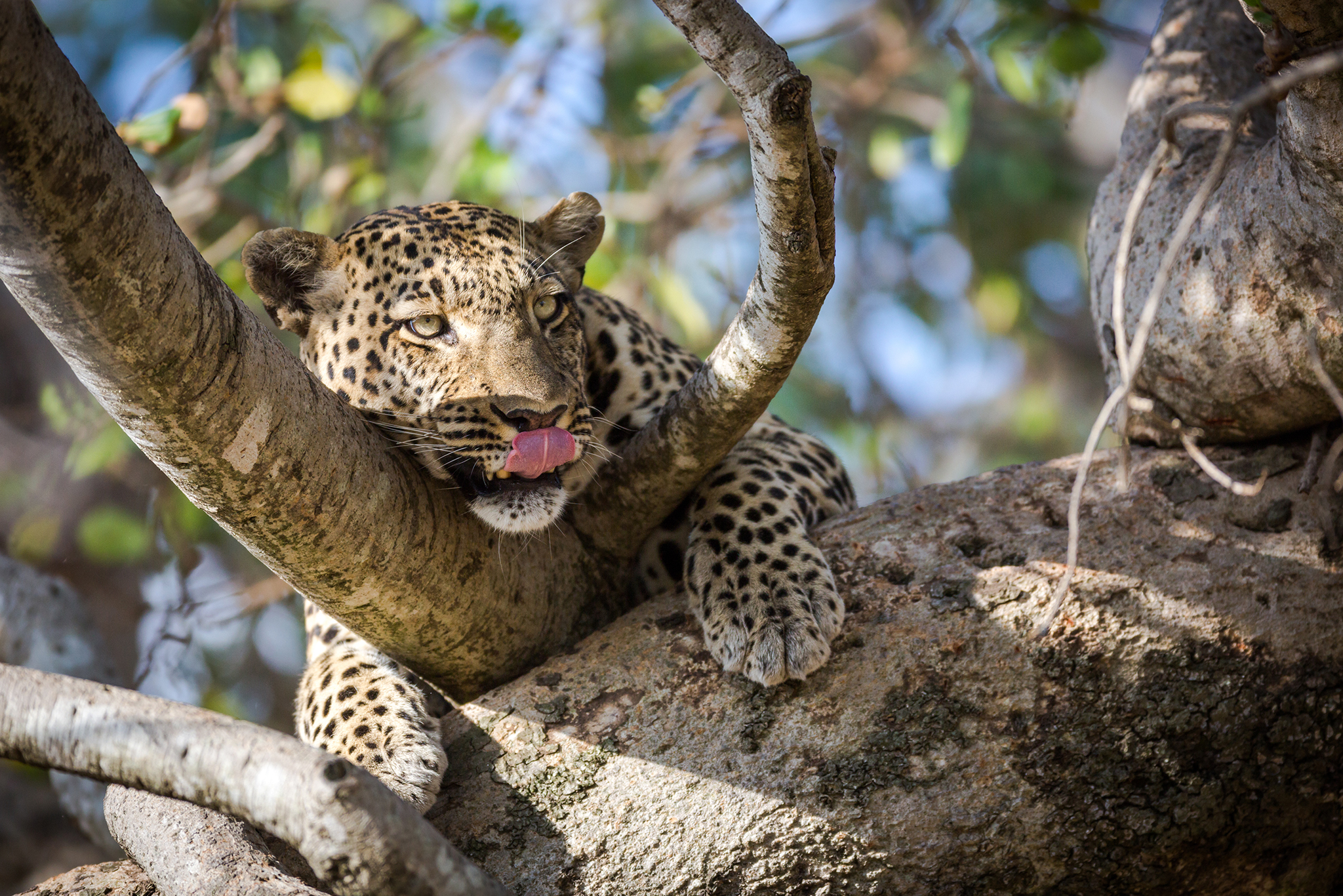 Tanzania adventure travel